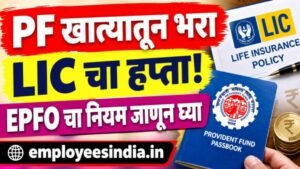 PF खात्यातून भरा LIC पॉलिसीचा हप्ता! जाणून घ्या EPFO चा नियम, पात्रता आणि अर्जाची प्रक्रिया.